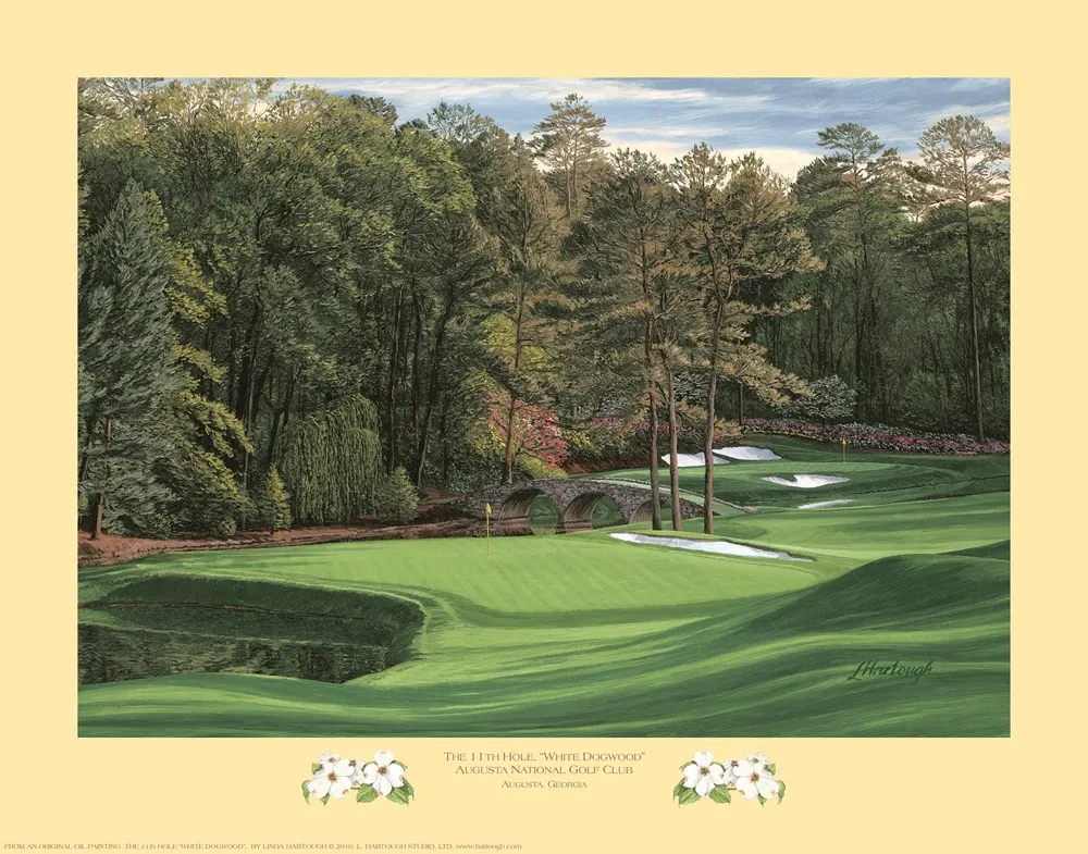#11 White Dogwood Augusta National Golf Club